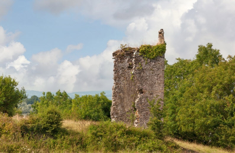 Kilmeadan Castle Ruins, Kilmeadan, Ireland, Ireland
